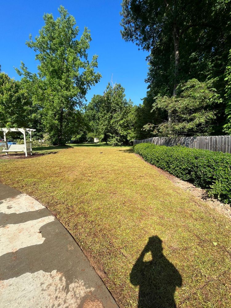 Mulch Installation for Zambrana Landscaping in Cobb County, GA