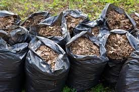 Our Brush Hauling service efficiently removes yard debris, ensuring your property remains clean and tidy. We handle all types of brush to enhance your landscape's aesthetic appeal while saving you time and effort. for Watson Lawn Care in Hillsboro, TX