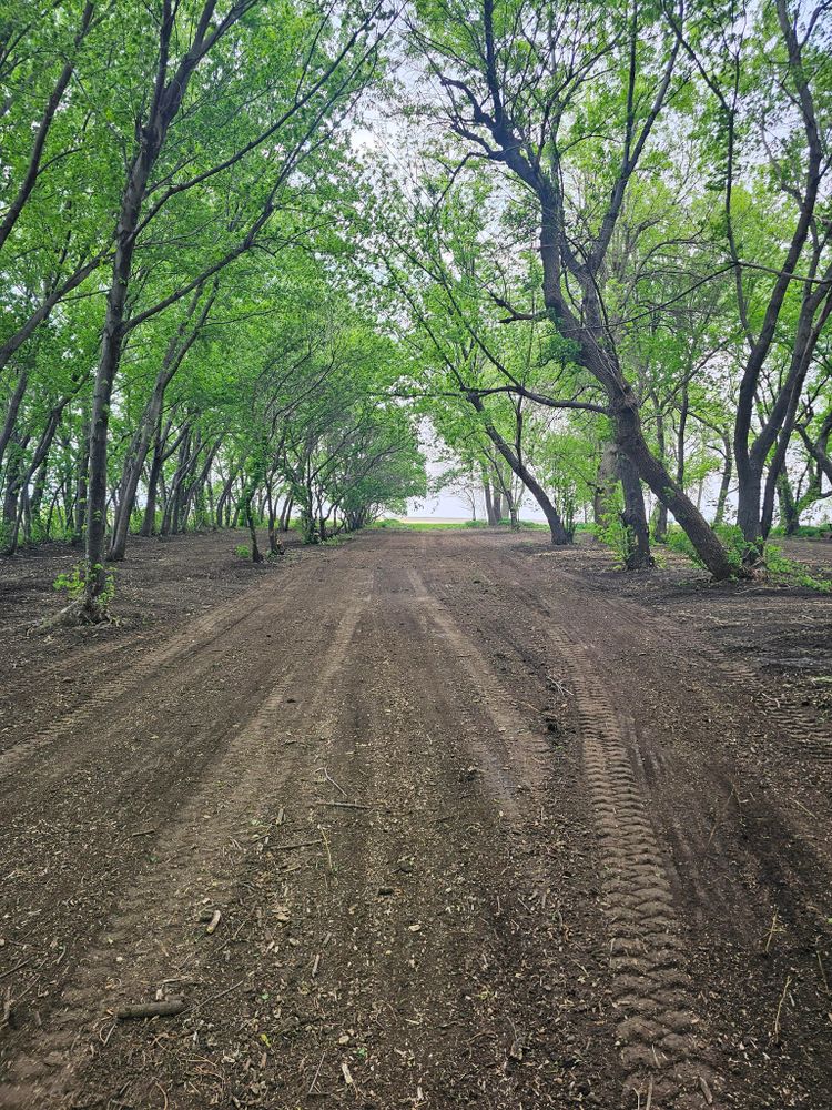 Tree Removal for Tree Tech in Luverne, MN