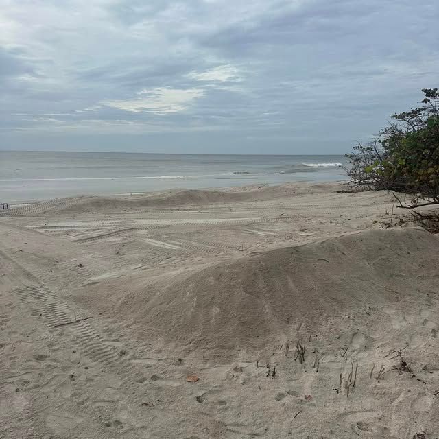 All Photos for Legends Land Clearing & Excavation in Burnet County, TX