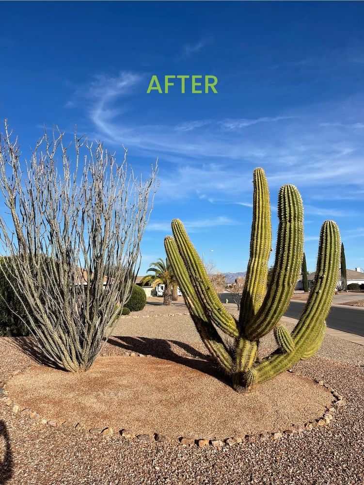All Photos for A to Z Grounds Keeping in Sierra Vista, AZ