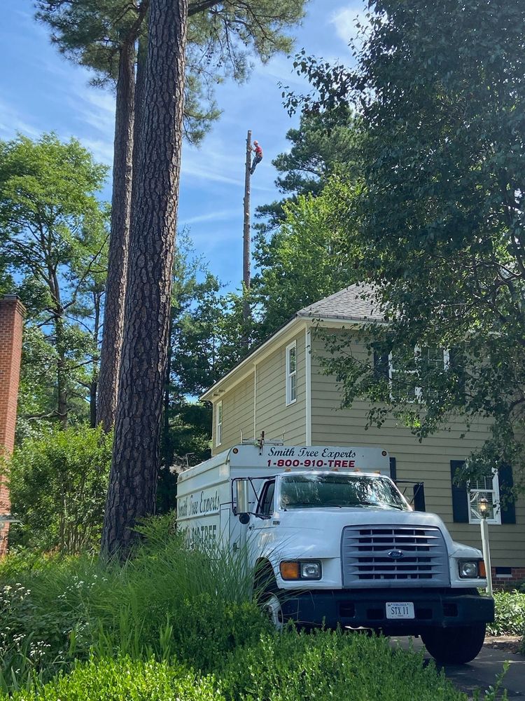 All Photos for Smith Tree Experts in Palmyra, VA