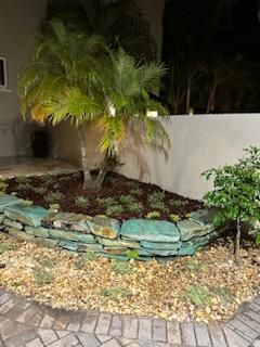 All Photos for Golden Landscape & Tree Care in St. Petersburg, Fl