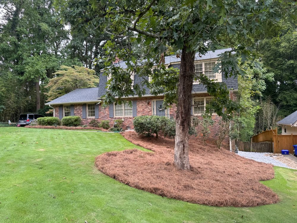 All Photos for Bega Landscape Services in Atlanta, Georgia