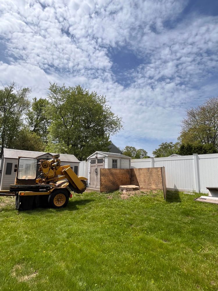 Tree Removal for Harley’s Tree Service in Palmer, MA