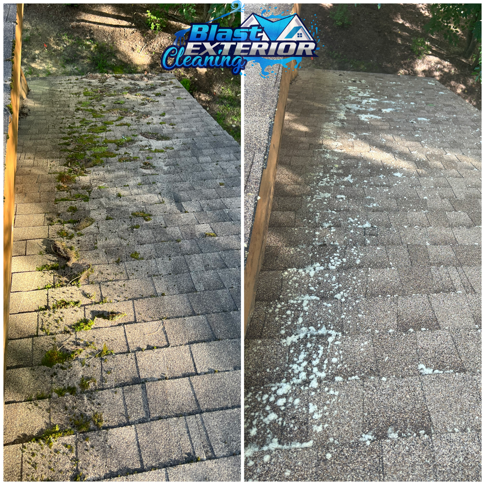 All Photos for Blast Exterior Cleaning in  Hendersonville, NC