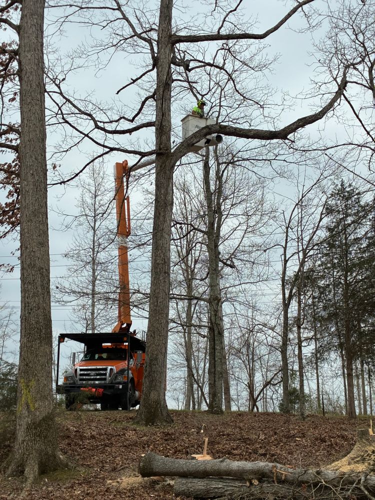 All Photos for Brocks Tree Service LLC in Rogersville, TN