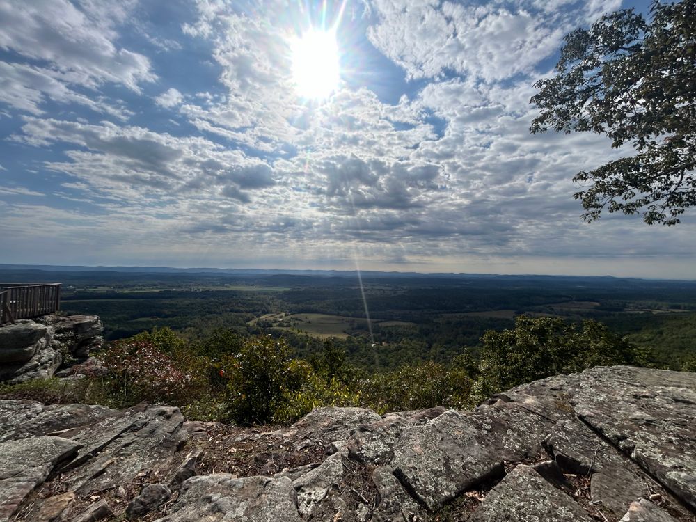 All Photos for Chipper's Tree Service  in Fort Payne, AL