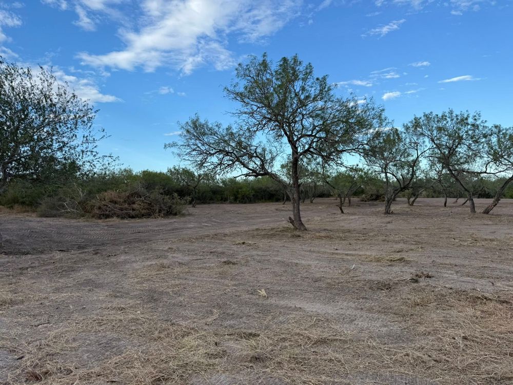 Our Land Clearing service efficiently removes trees, shrubs, and debris to prepare your property for construction or landscaping. We ensure a safe, clean site while preserving the surrounding environment with care. for Strause Land Improvement & Construction in George West, TX