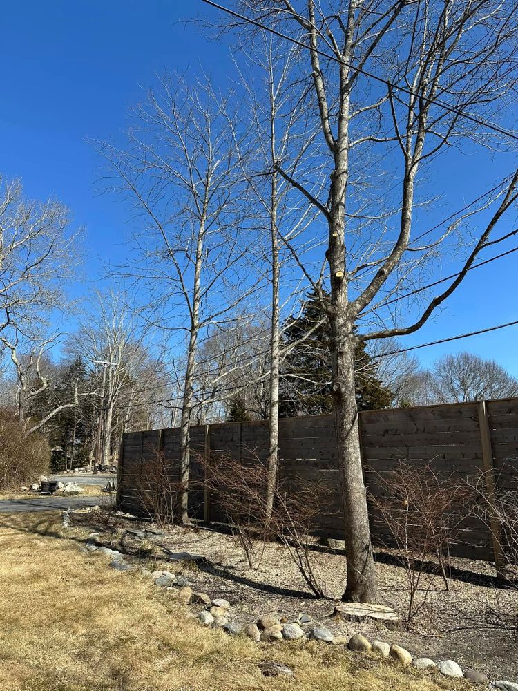 All Photos for Silver City Tree and Landscape in Taunton, MA
