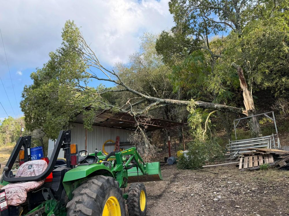 All Photos for Z’s Trees LLC in Grey Forest, TX