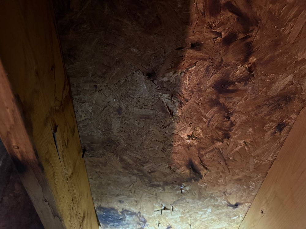 All Photos for FNS Exterior Consulting LLC, Powered By Live OAK in Cumming, GA