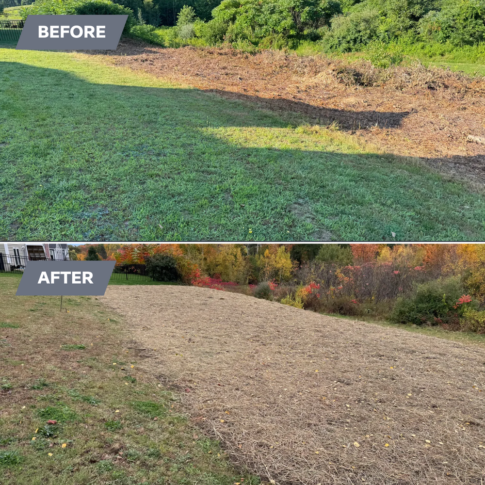 All Photos for AFH Earthworks in Madison, NH
