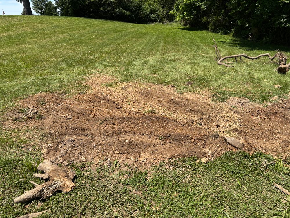 All Photos for Conrad's Stump Removal in Columbus, IN