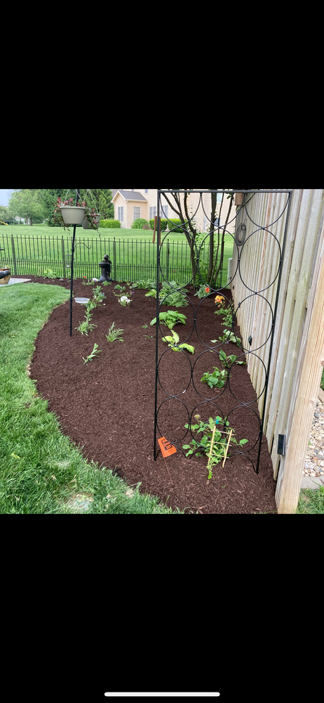 All Photos for MDR Landscaping in Urbana, IL