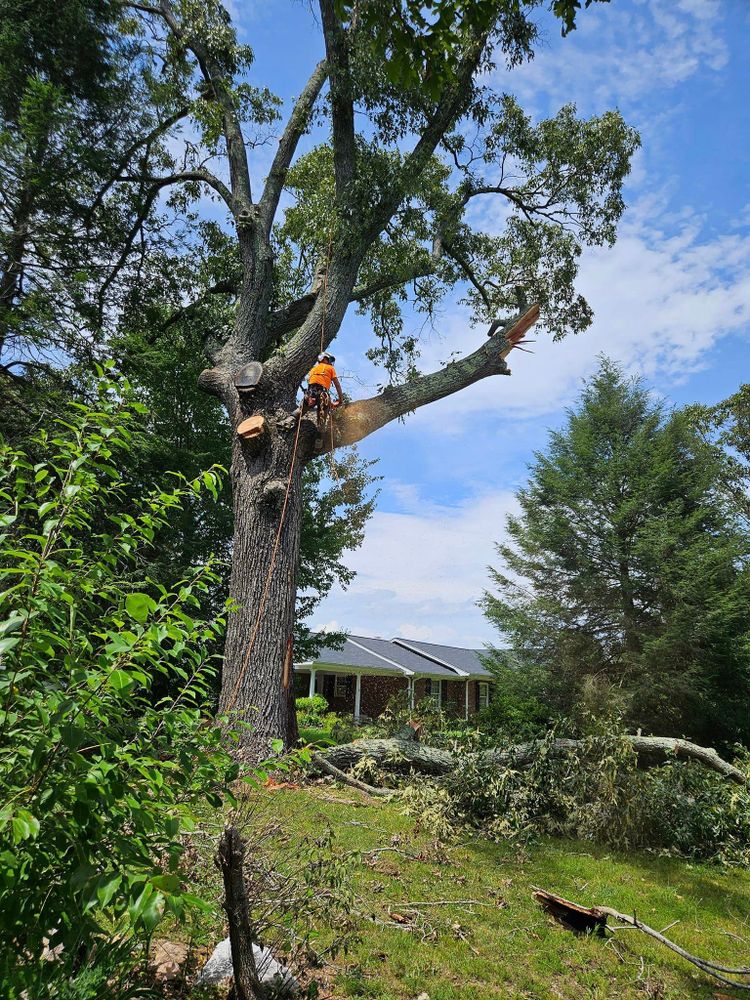 Our Tree Service provides professional tree trimming, removal, and maintenance to enhance the overall health and appearance of your landscape. Trust us to care for your trees with precision and expertise. for Paradise Landscaping and Tree Service in Greenville, SC