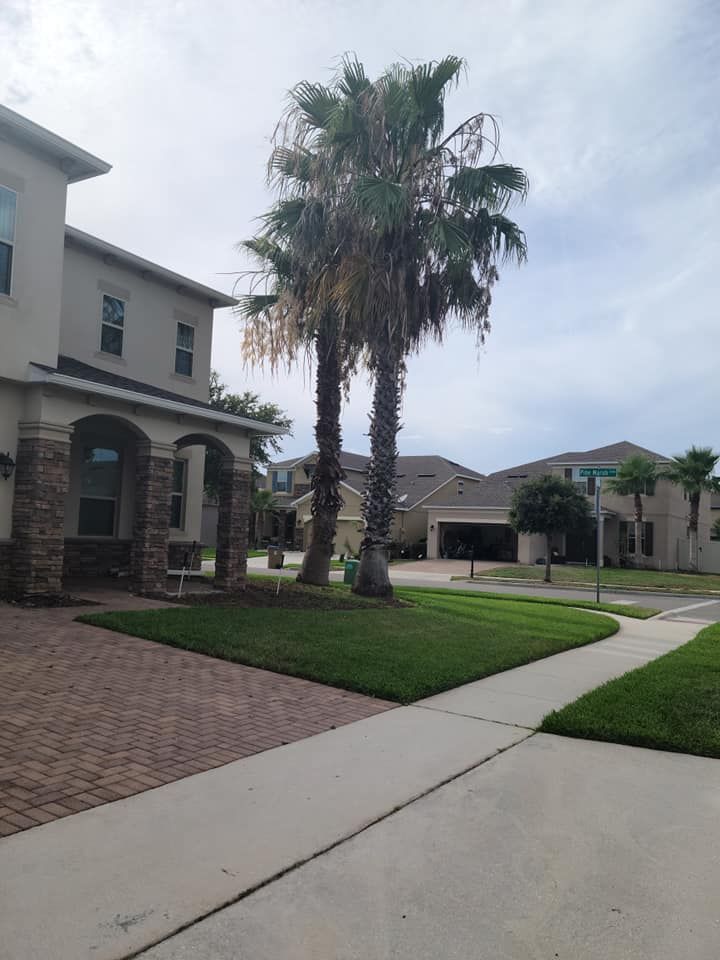 All Photos for TopNotch Landscaping Services  in The Villages, FL