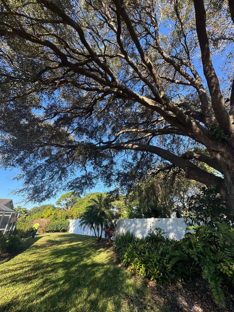 All Photos for Space Coast Property Maintenance and Management LLC in Melbourne, FL