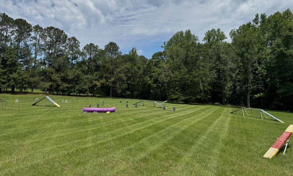 Land Management for Four Seasons Property Care in Aiken, SC