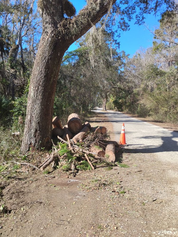 All Photos for All Around Guys Tree Service in Ocala, FL