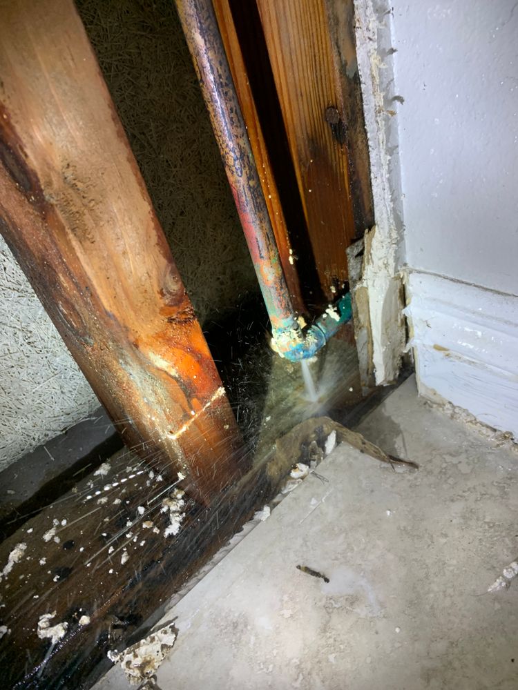 Water Line Leaks and Repairs for Schuelke Plumbing & Construction in Beaumont, CA