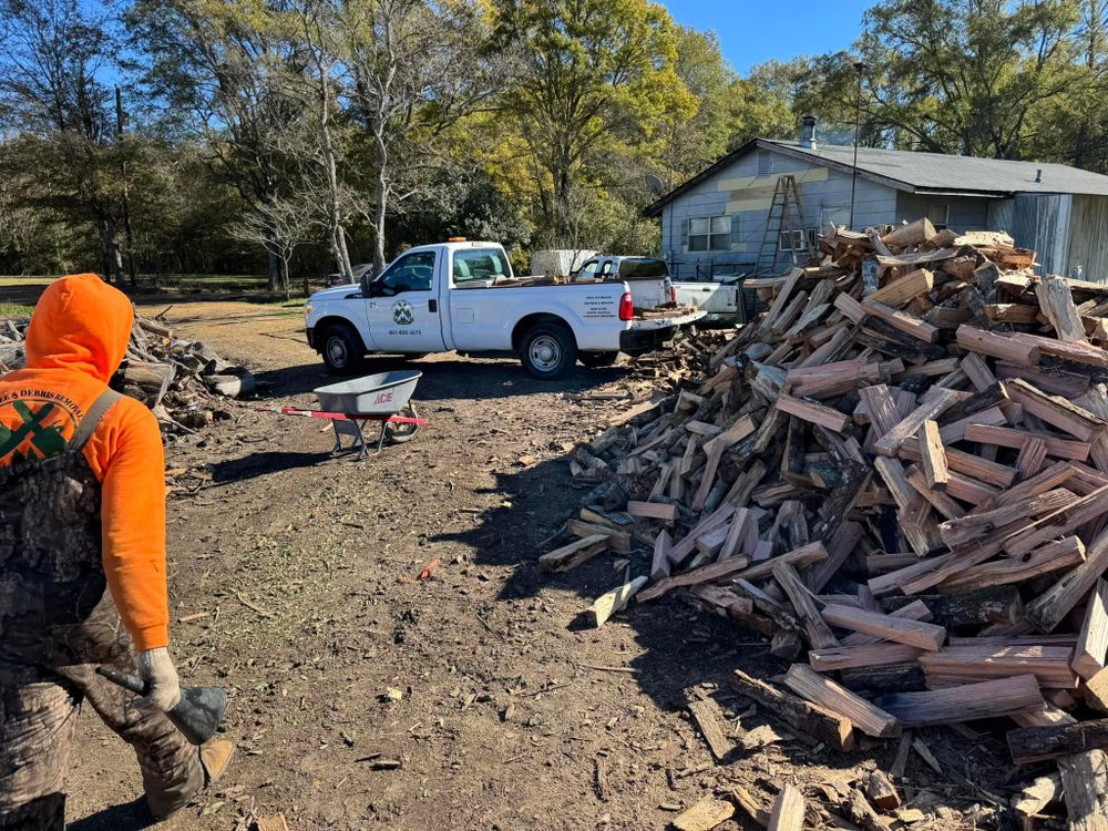 All Photos for Action Tree & Debris Removal in Jackson,  MS