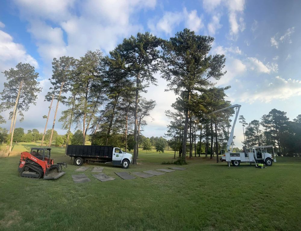 All Photos for Chipper's Tree Service  in Fort Payne, AL