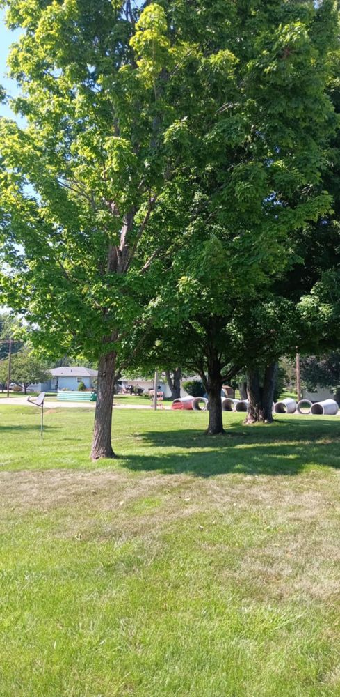 All Photos for Lawn Ranger Yard And Tree Service LLC in Ottumwa, IA