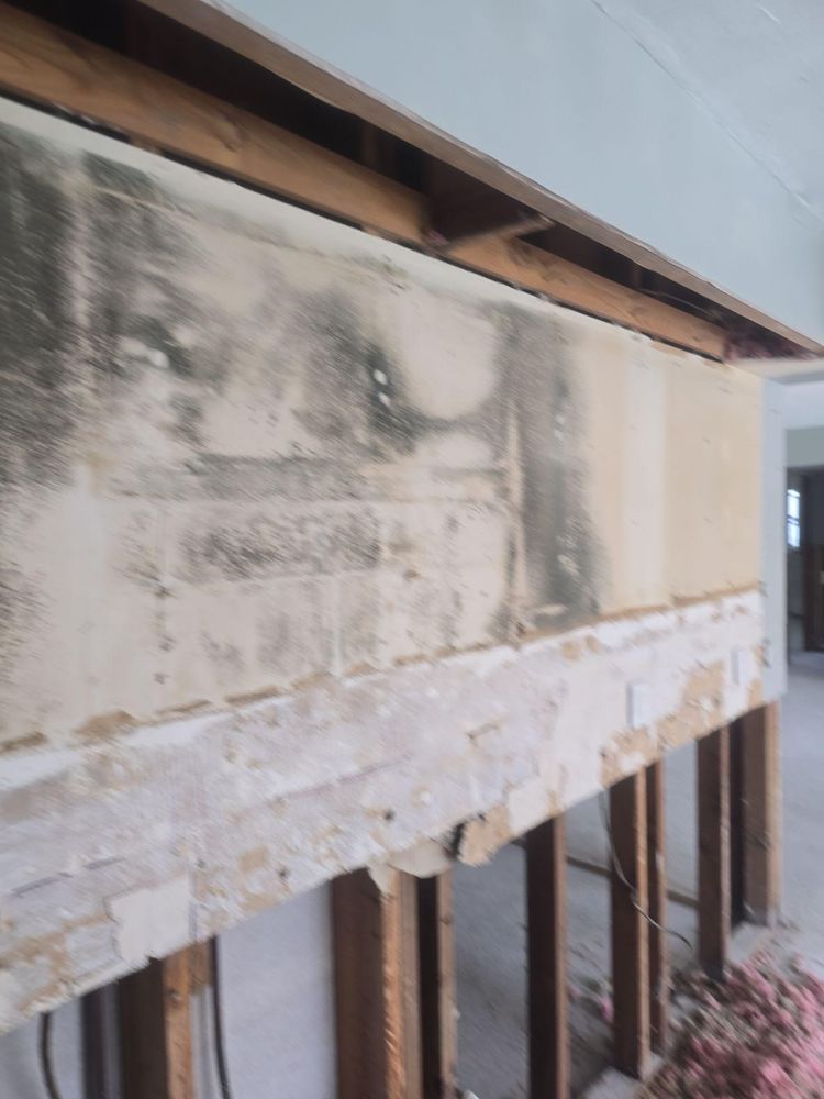 All Photos for Zorcon Contracting LLC in Tampa, FL