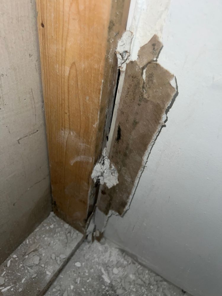 Mold Remediation for N&D Restoration Services When Disaster Attacks, We Come In in Cape Coral,  FL