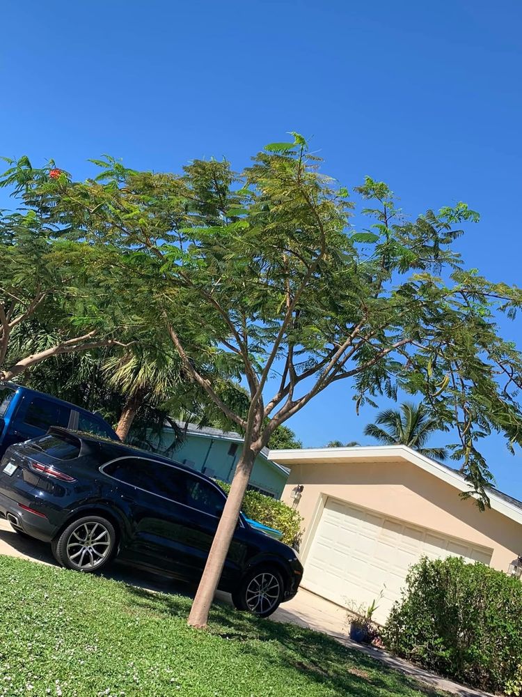 All Photos for Space Coast Property Maintenance and Management LLC in Melbourne, FL