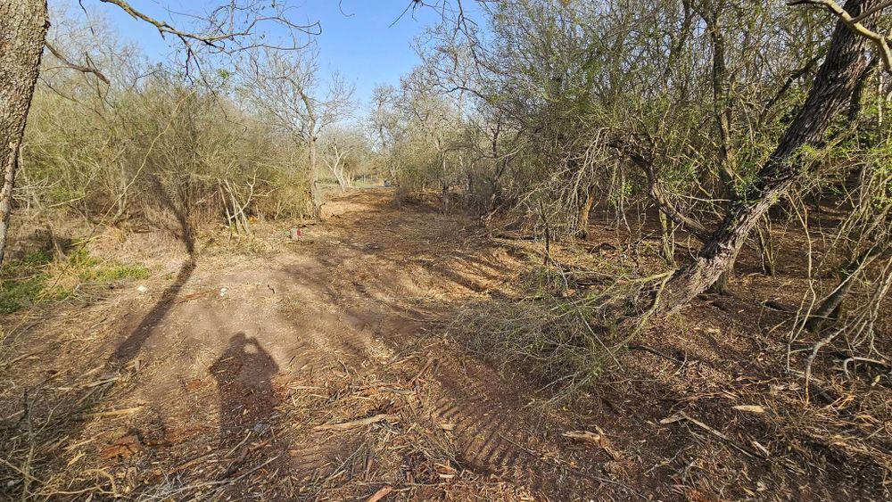 Land Clearing for Hernandez Land Clearing Services in Alice, TX
