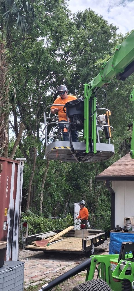 All Photos for Daniel Hickey’s Tree Service in DeLand, FL