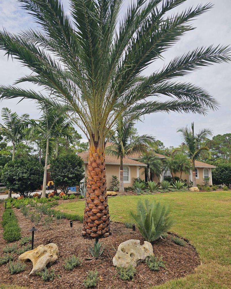 All Photos for Natural View Landscape, Inc.  in Loxahatchee, FL