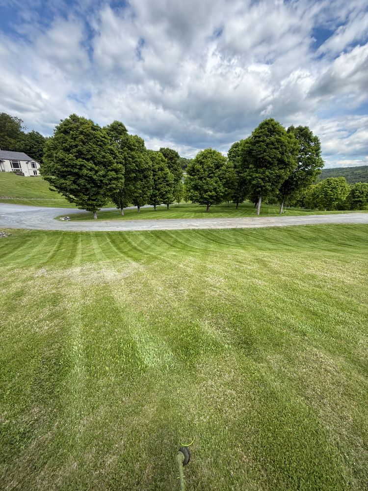 All Photos for Thomas Clifford Property Services LLC in Enfield, NH