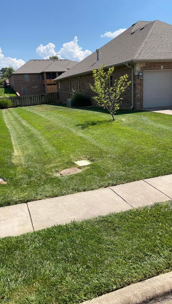Lawn Care for Wright Lawn Services in Ozark, MO
