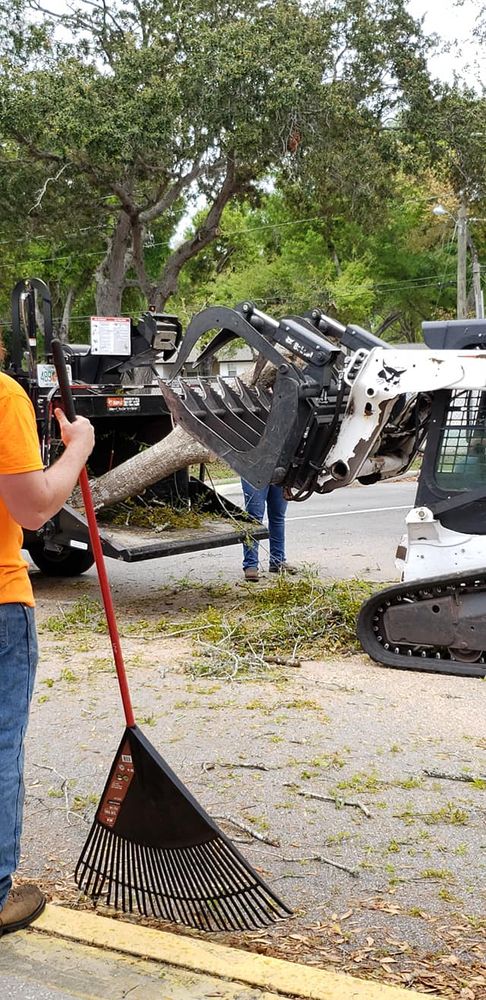 Tree Removal for Daniel Hickey’s Tree Service in DeLand, FL