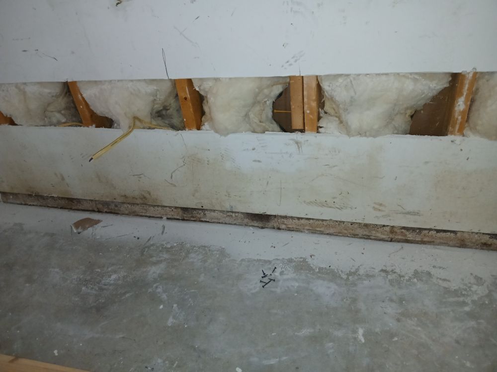 Carterville Garage Conversion for Dead Tree General Contracting in Carbondale, Illinois