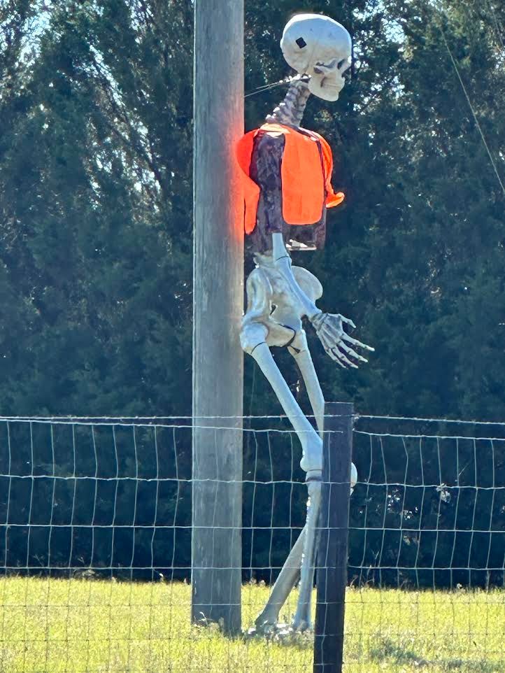 All Photos for C&C Excavating in Live Oak, FL