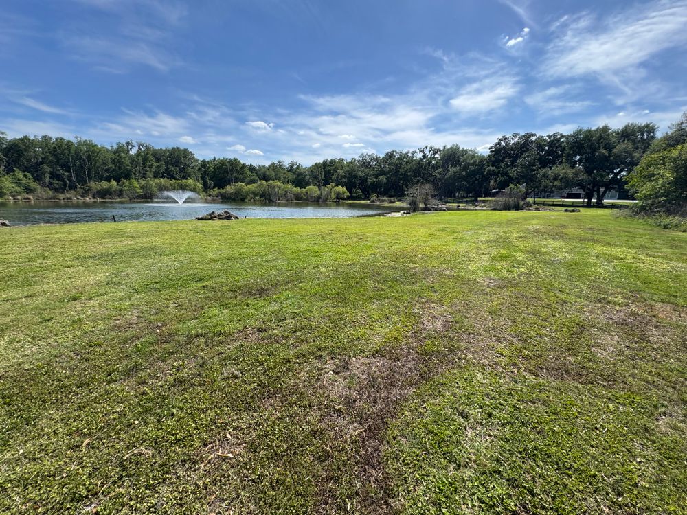 All Photos for Village Lawn Services LLC in Lake Panasoffkee, FL