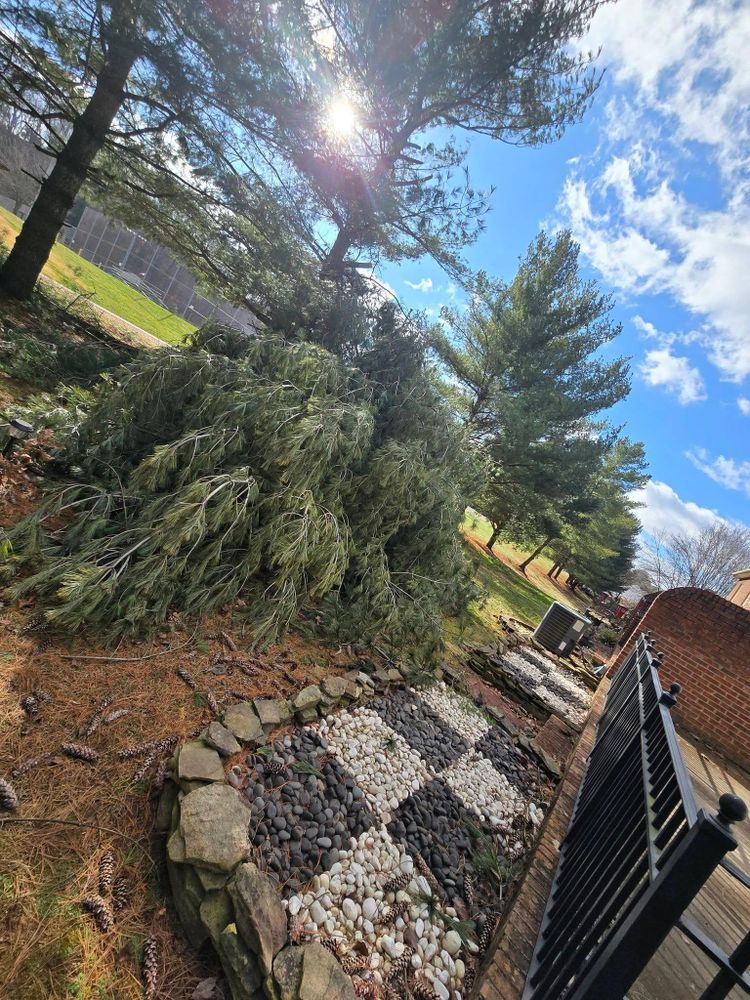 All Photos for M&L Lumber and Excavating in Jonesborough, TN