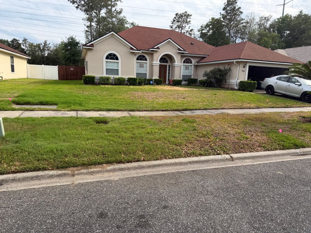 All Photos for All of the Above Landscaping in Orange Park, FL