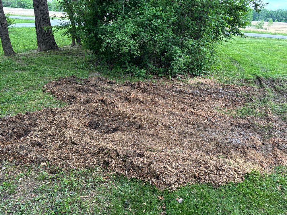 All Photos for Conrad's Stump Removal in Columbus, IN