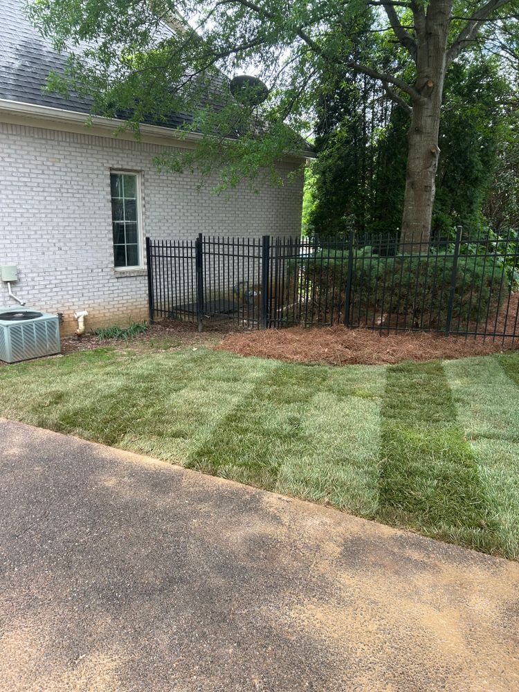 All Photos for Optimum Tree Service And Landscaping in Bowling Green, KY