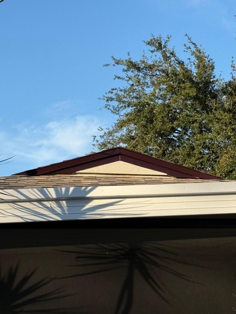 All Photos for Escorpio Painting in Tampa, FL