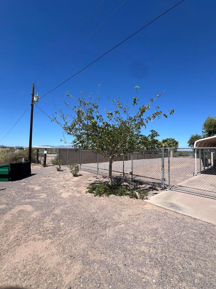 All Photos for Top Notch Landscape Services LLC in Mohave Valley, AZ