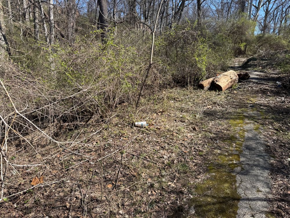 All Photos for A1 Bush Hogging & Lawn Service in London, OH