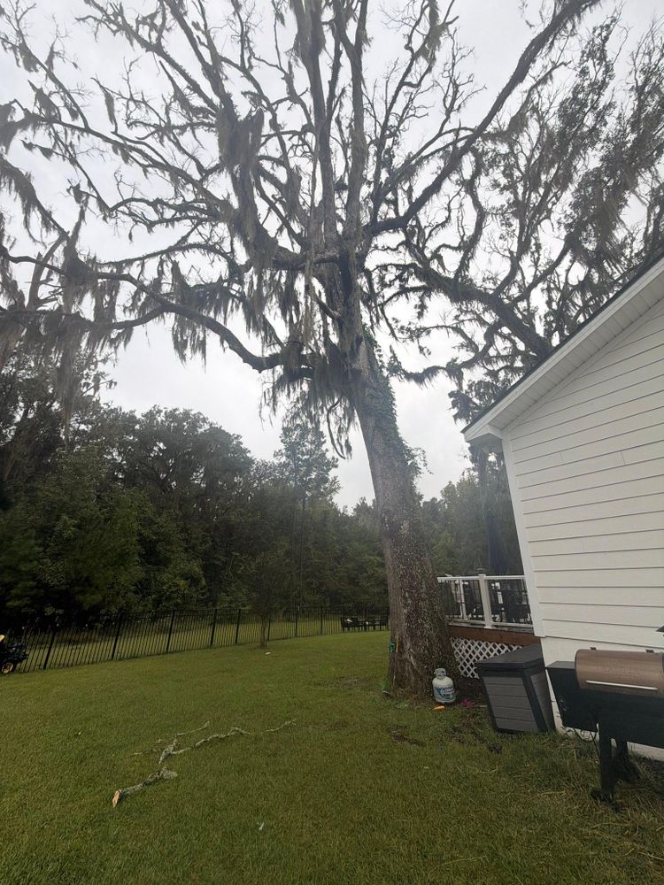 All Photos for Hawkins Tree Service & Land Management in Richmond Hill, GA