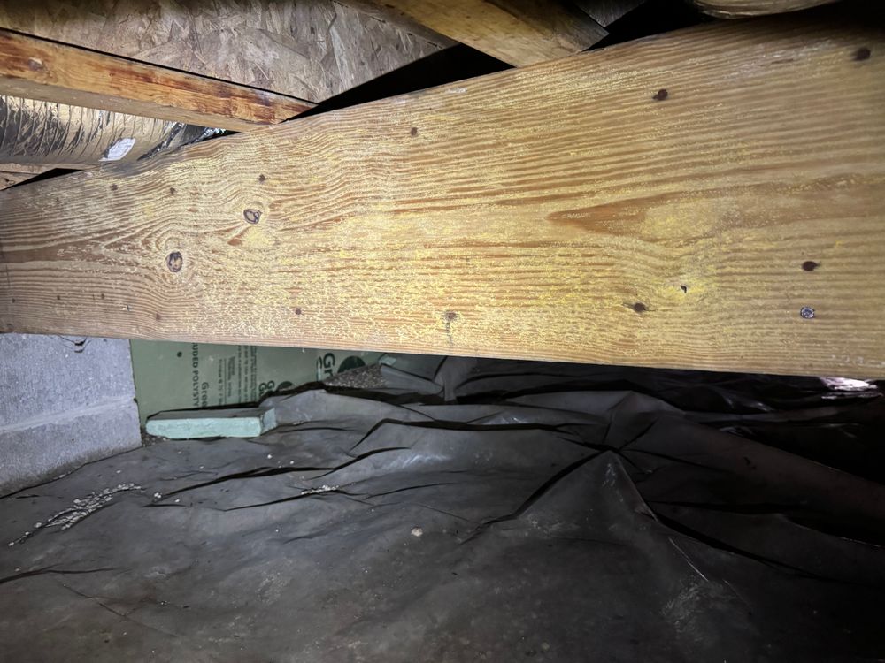 Crawlspace/Attic Renovation  for All-In Pest Control & Home Solutions in Greene County, IN