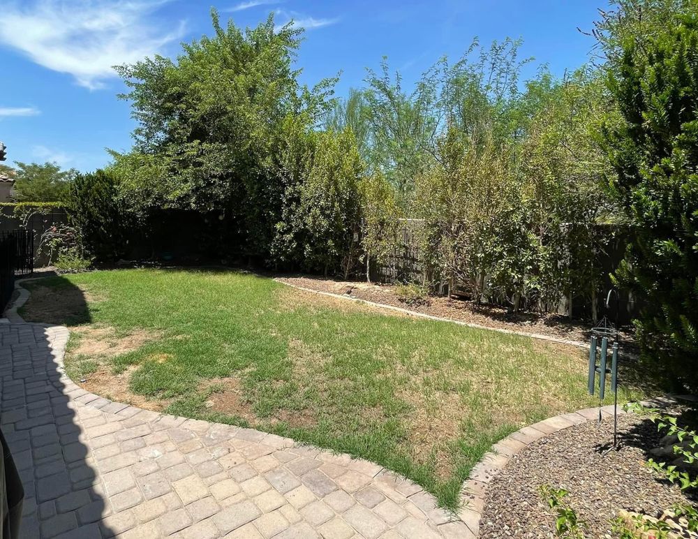 All Photos for CTHA Landscape in Phoenix, AZ